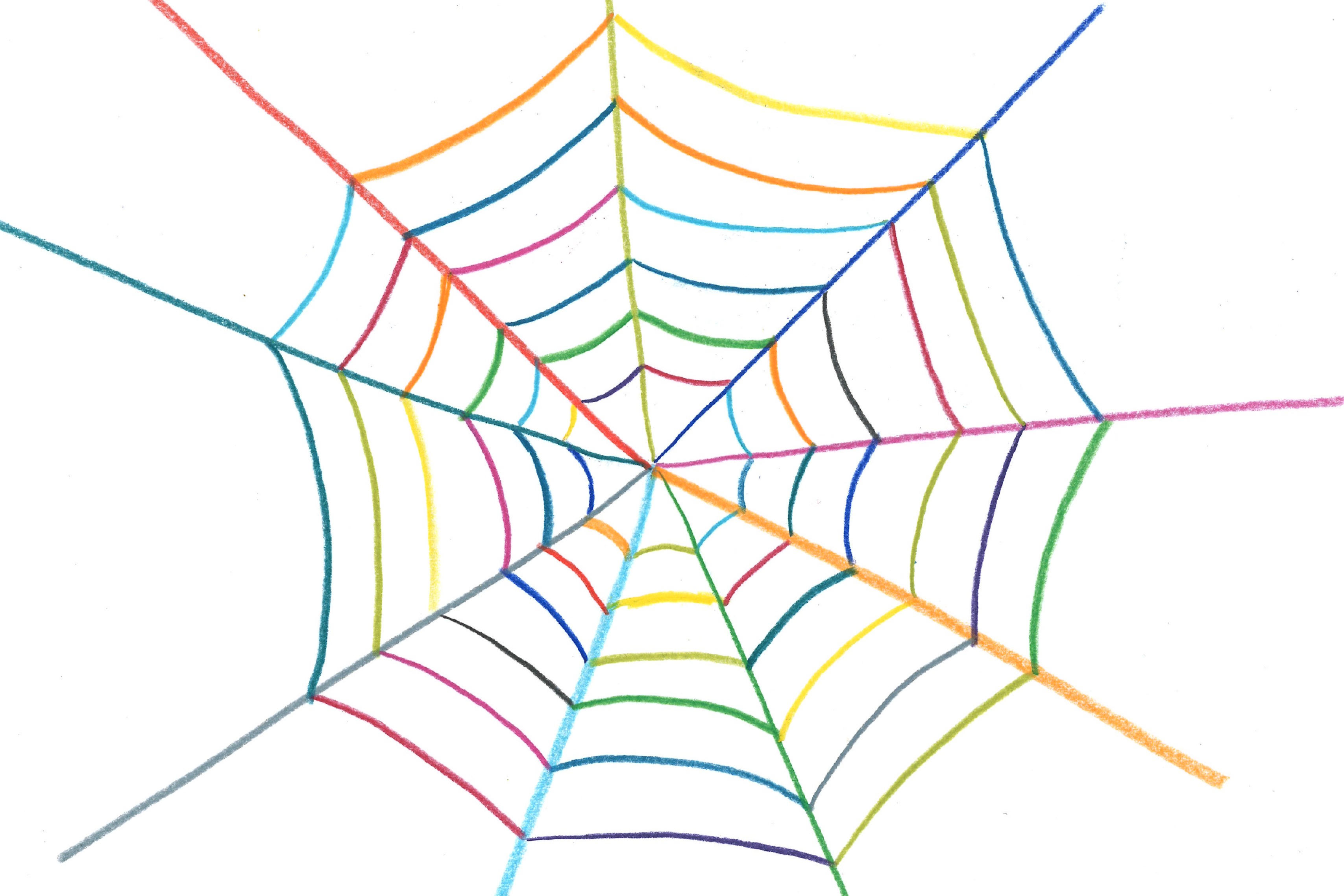 spinnennetz farbig c